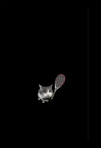 Cat Tennis Screen Shot 1
