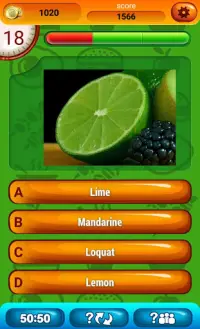 Alimentos Divertido Quiz Screen Shot 7