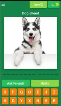 Popular Dog Breeds Quiz Screen Shot 2