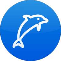 Dolphins races Sharks