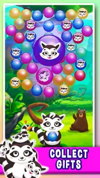 Raccoon Boom – Bubble Shooter Pop !! Screen Shot 3