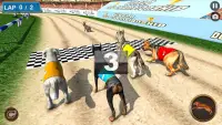 Real Dog Racing Tournament Screen Shot 12
