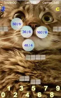 Taquitoゲム-数学のボールの猫の子供の無料の教育ゲーム Screen Shot 4