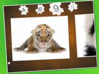 Baby animal puzzle Screen Shot 0
