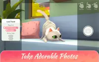 My Cat Club: Pet Cats Game Screen Shot 13