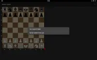 Schaken: Senior Chess Screen Shot 10