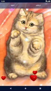 Cute Fluffy Cat Live Wallpaper Screen Shot 3