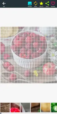 Jigsaw Puzzles Game for Adults without Internet Screen Shot 2