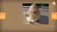 Cute Birds Jigsaw Puzzles Game Screen Shot 1