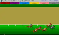 Flat Race Horse Racing Screen Shot 4