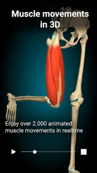 Anatomy Learning - 3D Atlas Screen Shot 1