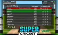 Super Cricket Championship Screen Shot 6