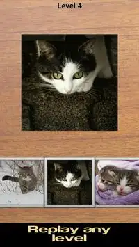 Gatti puzzle (FREE) Screen Shot 3