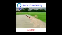 Sports : Cricket Batting Screen Shot 0