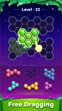 Hexa Block Puzzle - Classic Block Games Screen Shot 1