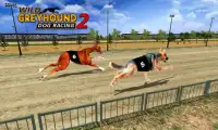 野生のグレイハウンド犬のレース 2 Screen Shot 2