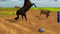 Horse Simulator 3D Screen Shot 2