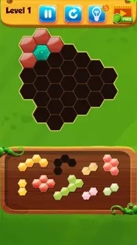 Block HexIn - Hexa Blocks Screen Shot 3