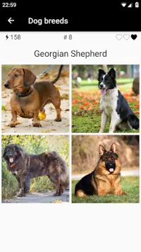 Dog breeds - Photo Quiz Screen Shot 2