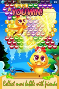 Bubble Bird Friends : Shoot ! Screen Shot 4