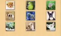 Puzzles Home Animals Screen Shot 5
