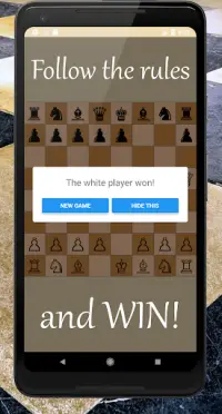 RSG Chess Screen Shot 3