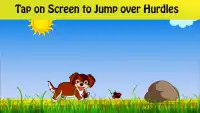 Dog Surfer: Pet Run Screen Shot 3