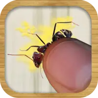 Ant Smasher – Tap Smash Ants & Bugs Screen Shot 5