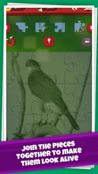 Birds Jigsaw Puzzle Game: Amazing Facts and Trivia Screen Shot 1