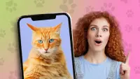 Gatinhos: que gato você? piada Screen Shot 3
