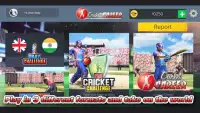 Cricket Career Screen Shot 5