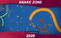Snake Zone : worm snake zone 2020 Screen Shot 2
