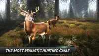 Wild Animal Hunter - Unlimited Screen Shot 5