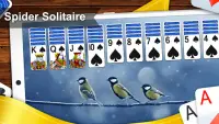 Spider Solitaire Screen Shot 1