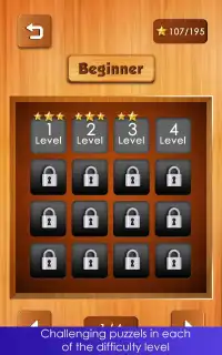 Unblock Expert : Block Puzzle Brain Games Screen Shot 4