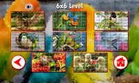 Birds Puzzles Screen Shot 6