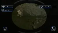 Sniper Animal Hunting Game Screen Shot 3