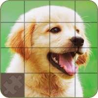 Puzzle - Dogs and Puppies