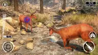 Deer Hunting: Offline Games 3D Screen Shot 2
