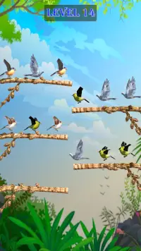 Flying Bird Sorting Puzzle Screen Shot 2
