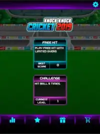 Knock Knock Cricket 2019 Screen Shot 8