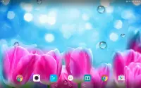 Spring Flower Live Wallpaper Screen Shot 9