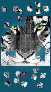 Tiger Puzzle-Spiele Screen Shot 11