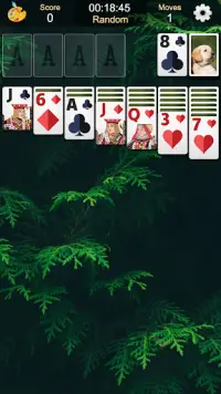 Solitaire - Offline Card Games Screen Shot 4
