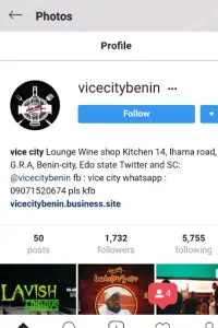 Vice City Benin Screen Shot 3