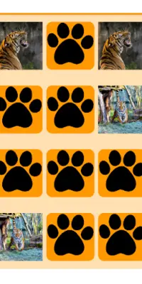 Tiger Memory Game Screen Shot 5