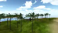 Island Flight Simulator Screen Shot 2