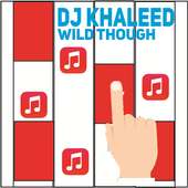 Piano Magic - DJ Khaleed; Wild Thoughts