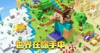 Minecraft China Edition Screen Shot 8