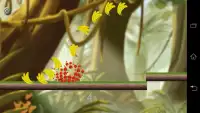 Angry Red Ball Jungle Running Screen Shot 3